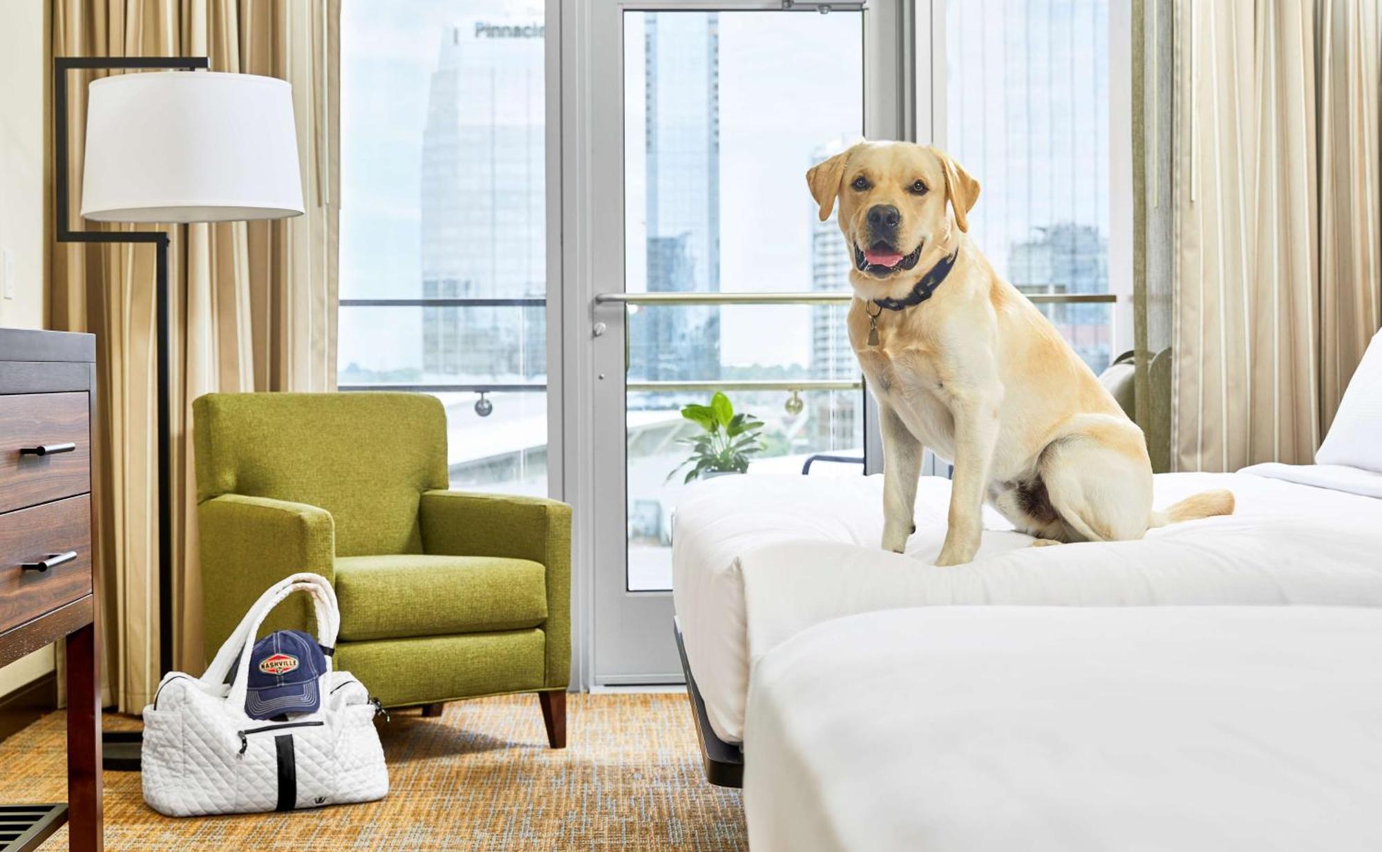 Embassy Suites By Hilton Nashville Downtown Екстер'єр фото